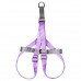 Шлея для собак или кошек с поводком Taotaopets 171120 Purple M (1.5 cm) Шлея для собак или кошек с поводком Taotaopets 171120 Purple M (1.5 cm)