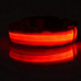 Светодиодный LED ошейник USB светящийся для собак и котов Red XS Светодиодный LED ошейник USB светящийся для собак и котов Red XS