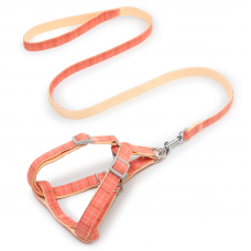 Шлея для собак с поводком Pipitao 165510 Cage Peach 2*120 cm