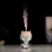 Белый Увлажнитель воздуха портативный WOLF Air Humidifier, аромадиффузор электрический с резервуаром для эфирного масла, ультразвуковой, 650 мл Белый Увлажнитель воздуха портативный WOLF Air Humidifier, аромадиффузор электрический с резервуаром для эфирного масла, ультразвуковой, 650 мл