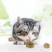Кошачья игрушка для кошек мятный шарик кошачий леденец Кошачья игрушка для кошек мятный шарик кошачий леденец