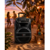 Портативная колонка BT 115 / Портативная колонка Su-Kam BT115D / Bluetooth, USB, FM акустична караоке-система